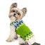 Spring Ski Bum Dog Sweater
