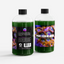 Nannochloropsis Phytoplankton Culture