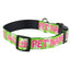 Personalized Green Daisy Dog Collar