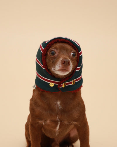 Green Striped Snood