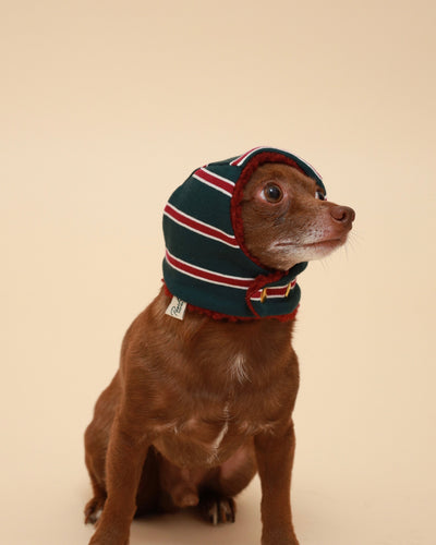 Green Striped Snood