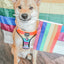 Dog Adjustable Harness - Love You Fur You