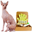 4-HAIRLESS PETS *DOG REGULAR KIT