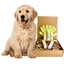 4-FURRY DOGS *RESTORATIVE GROOMING KIT