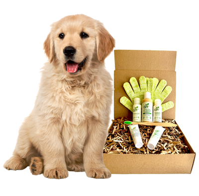 4-FURRY DOGS *RESTORATIVE GROOMING KIT