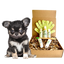 4-FURRY DOGS *SENSITIVE GROOMING KIT