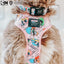 Dog Collar - The Powerpuff Girls™ (Pink)