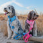 Dog Rope Leash - KEN™