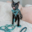 Cat Leash - Nickelodeon CatDog™