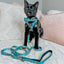 Cat Collar - Nickelodeon CatDog™