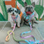 Dog Leash - Polly Pocket™