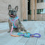 Dog Collar - Polly Pocket™