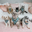 Dog Adjustable Harness - Nickelodeon CatDog™