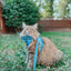 Cat Leash - Purrs & Petals