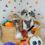 Dog Adjustable Harness - Neon Frights