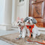 Dog Adjustable Harness - Foxy