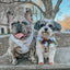 Dog Adjustable Harness - Pup of Honor