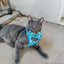 Cat Step-In Harness - Purrs & Petals