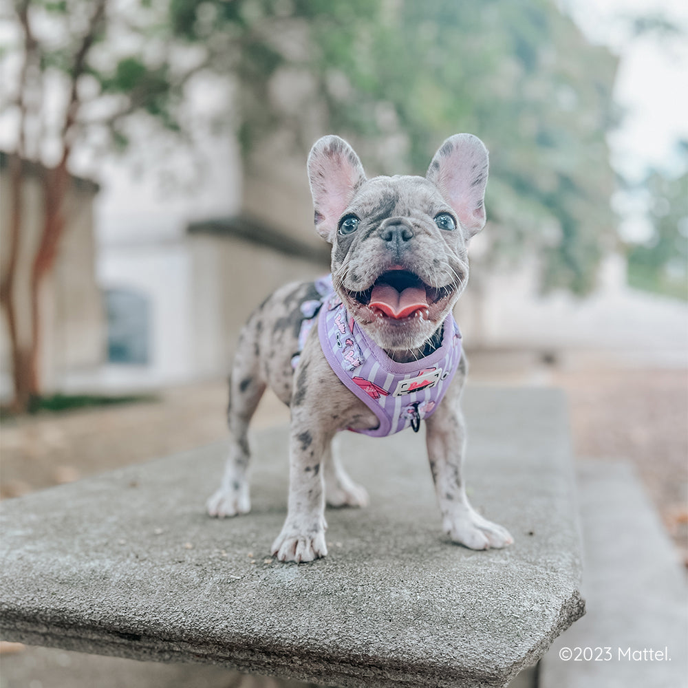 Dog Adjustable Harness - BARBIE™ Closet Goals