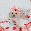 Dog Leash - Picnic Fur Two