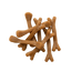 Fresh Breath Dental Bones