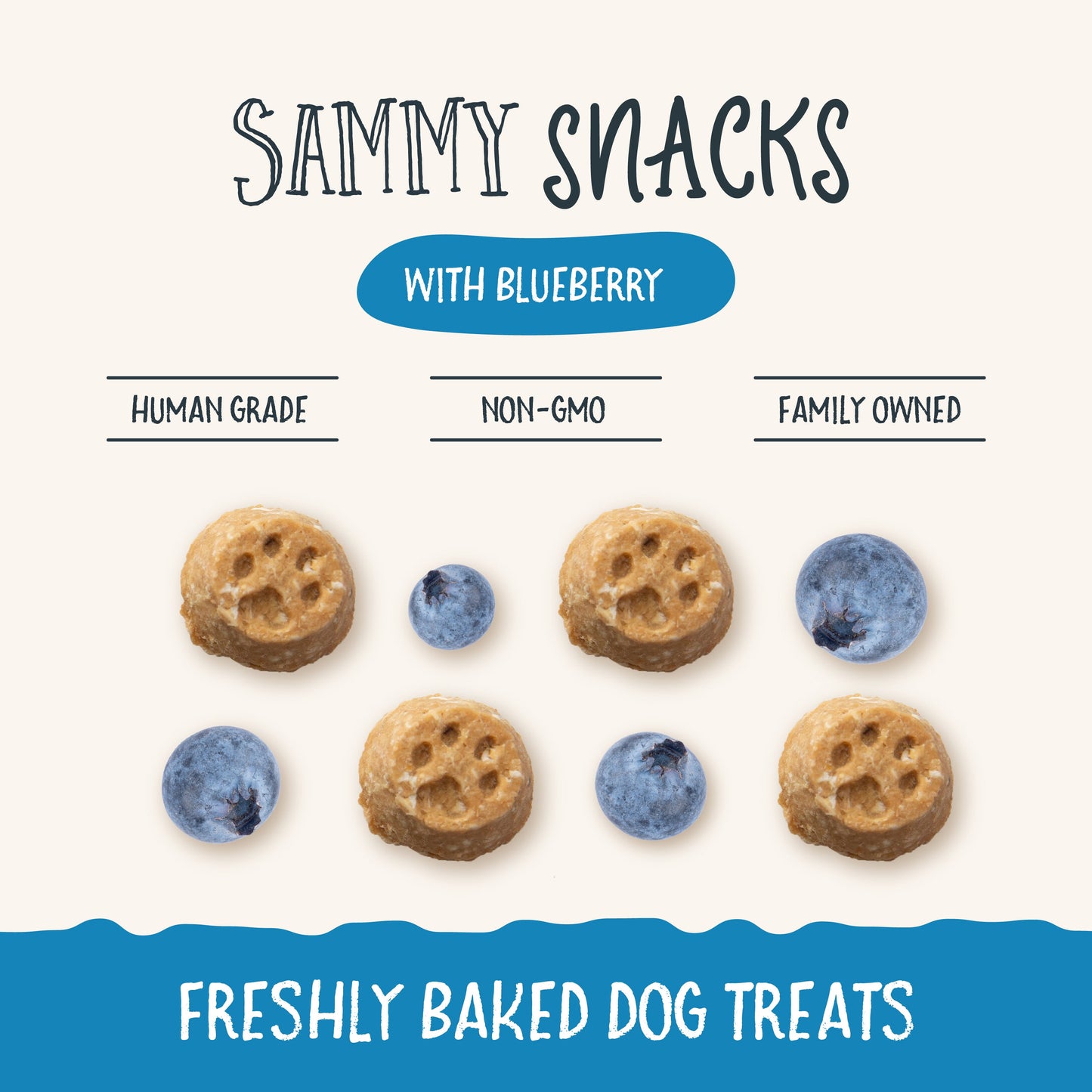 Sammy Snacks With Blueberries