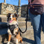 Hands Free Rope Leash - Noir