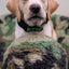 HuggleCause™, Warrior Canine Connection, Camouflage HuggleFleece® Plush Ball Dog Toy