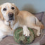 HuggleCause™, Warrior Canine Connection, Camouflage HuggleFleece® Plush Ball Dog Toy