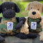 HuggleCause™, Warrior Canine Connection, Black Lab Luke Knottie® Plush Dog Toy, Large