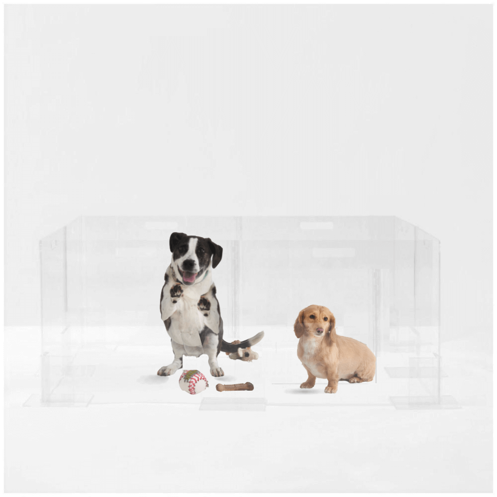 Clear Step-Over Pet Playpen , 24" High