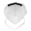 Honeywell DF300 Flatfold Disposable Particulate Respirator N95 Face Mask, Regular Size