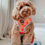 Dog Reversible Harness - One Hot Pupperoni