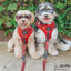 Dog Adjustable Harness - Harry Potter™