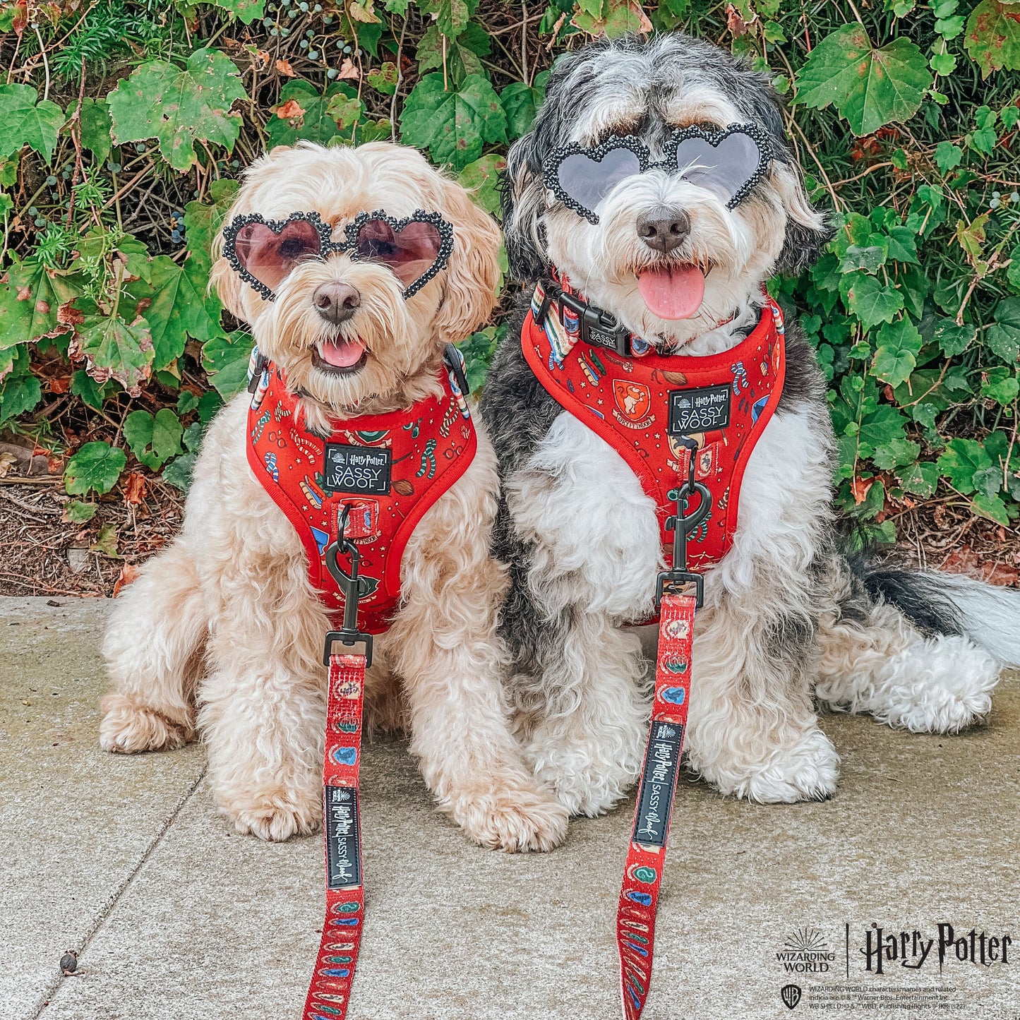 Dog Adjustable Harness - Harry Potter™