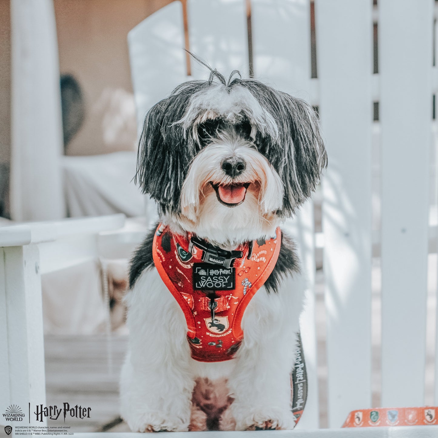 Dog Adjustable Harness - Harry Potter™