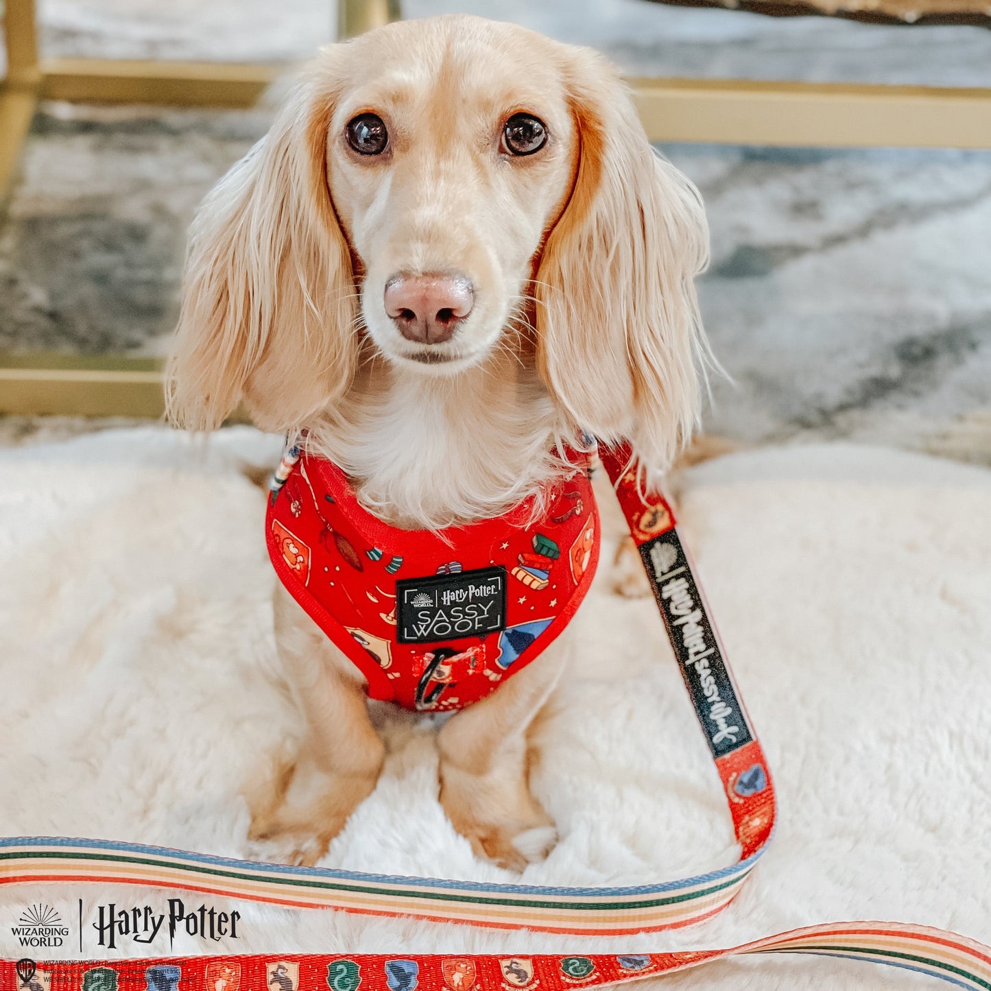 Dog Adjustable Harness - Harry Potter™