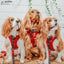 Dog Adjustable Harness - Harry Potter™