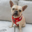 Dog Adjustable Harness - Harry Potter™