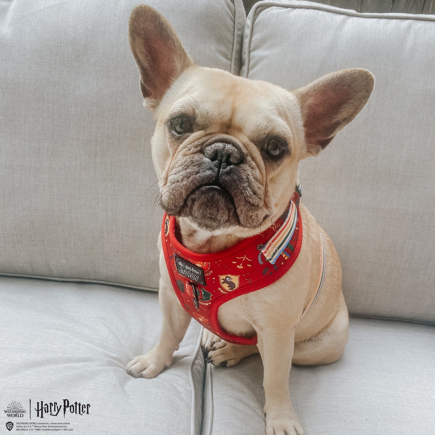 Dog Adjustable Harness - Harry Potter™