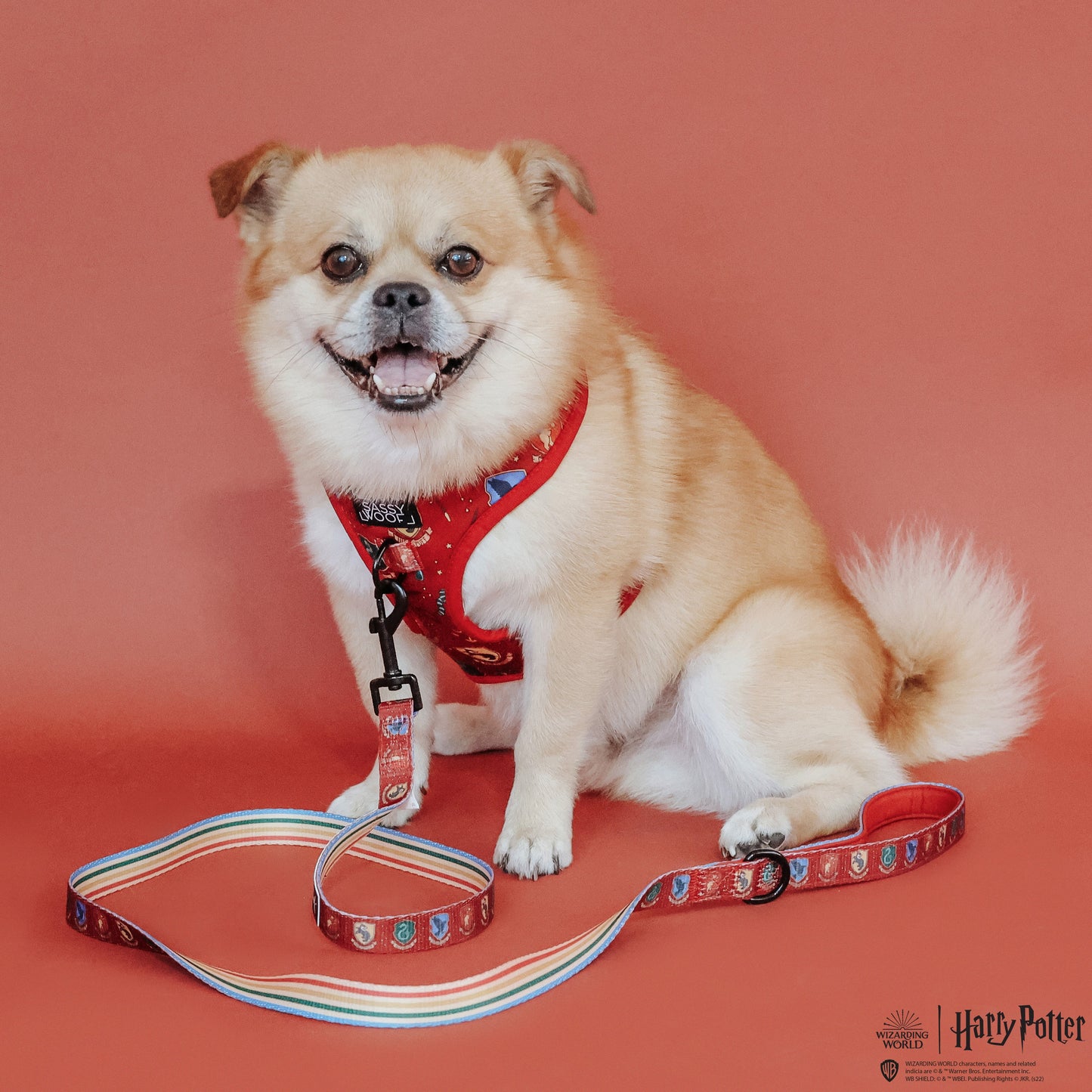 Dog Adjustable Harness - Harry Potter™