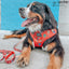 Dog Adjustable Harness - Harry Potter™