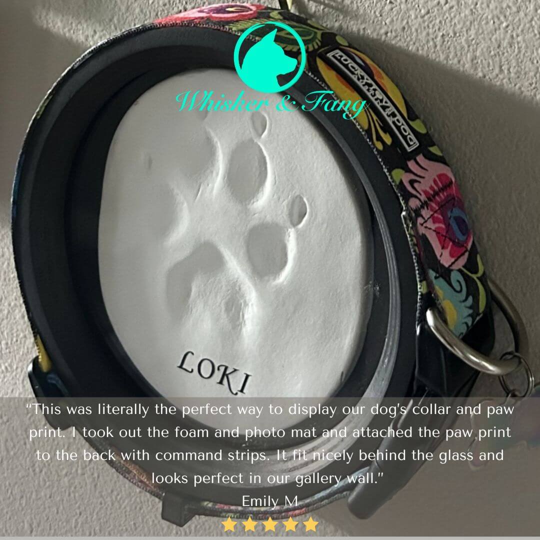Extra Wide Dog Collar Frame