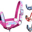 Tahoe Tack Nylon Overlay Sheep and Goat Halter with Padded Noseband - 6 Month Warranty