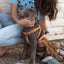 Step In Leather Dog Harness