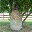 Derby Originals Set of 2 Superior Slow Feed 56" Soft Mesh Hanging Hay Net for Horses
