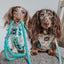 Dog Rope Leash - Ombre Teal
