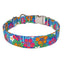 Hibiscus Paradise Dog Collar