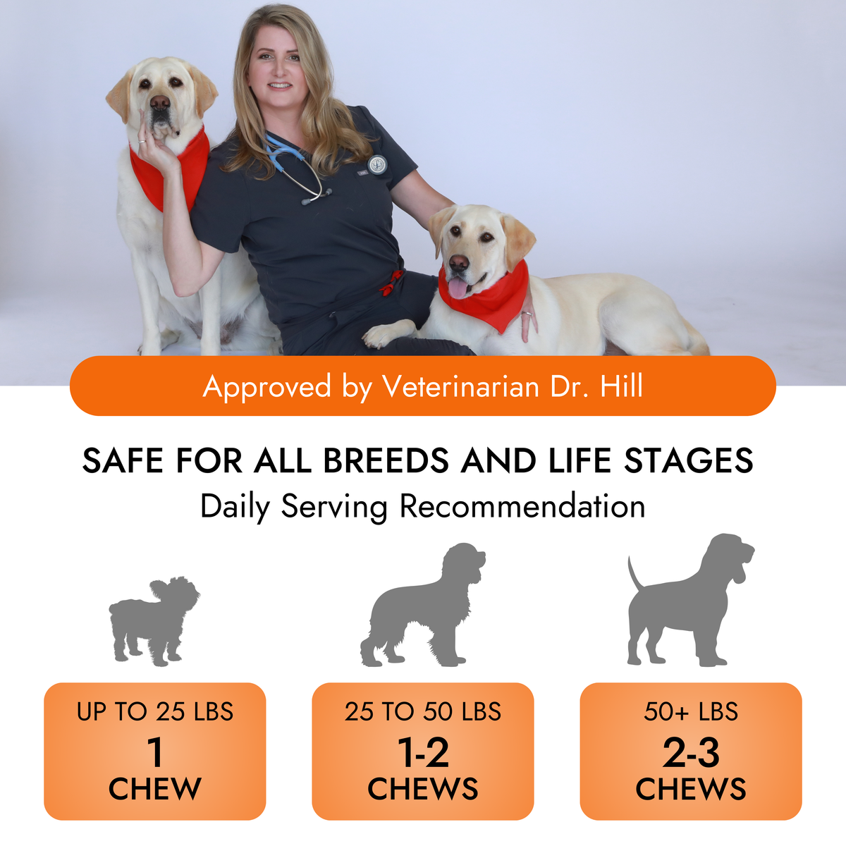 Pet Vet Products® Glucosamine Hip & Joint Supplement for Dogs – Beef Liver Flavor, 60 Soft Chews with MSM & Chondroitin for Mobility Support