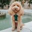 Dog Adjustable Harness - Barks of Holly